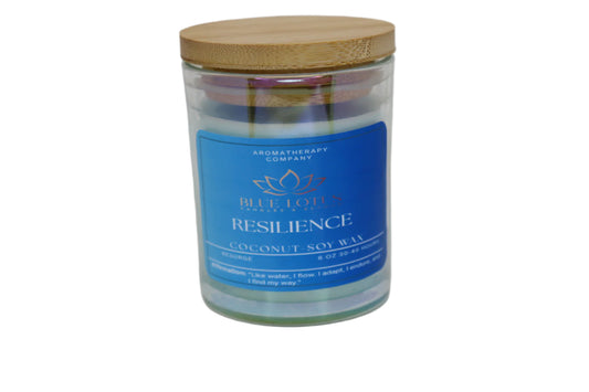 Resilience Candle – Nile Mist Water Scent – 6 oz Coconut Soy Wax – Calming Aquatic Aroma – Hand-Poured Candle with Wood or Cotton Wick