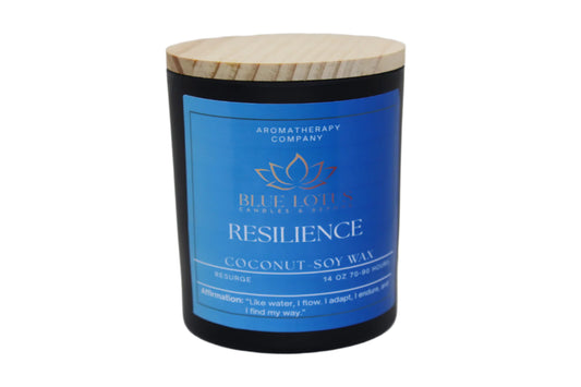Resilience Candle – Nile Mist Water Scent – 14 oz Coconut Soy Wax – Calming Aquatic Aroma – Hand-Poured Candle with Wood or Cotton Wick